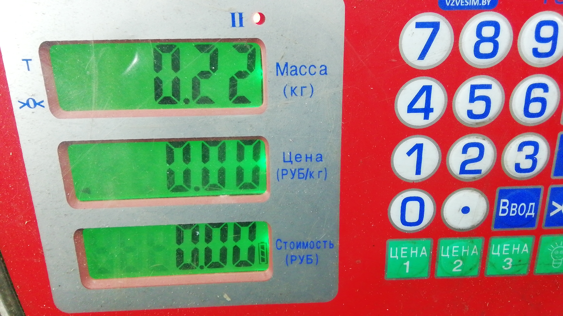 Амортизатор крышки багажника Toyota Corolla 9 купить в Беларуси
