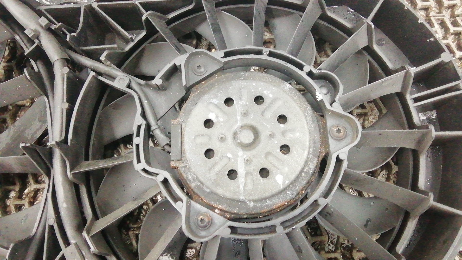 Вентилятор радиатора основного Audi A6 C5 купить в России