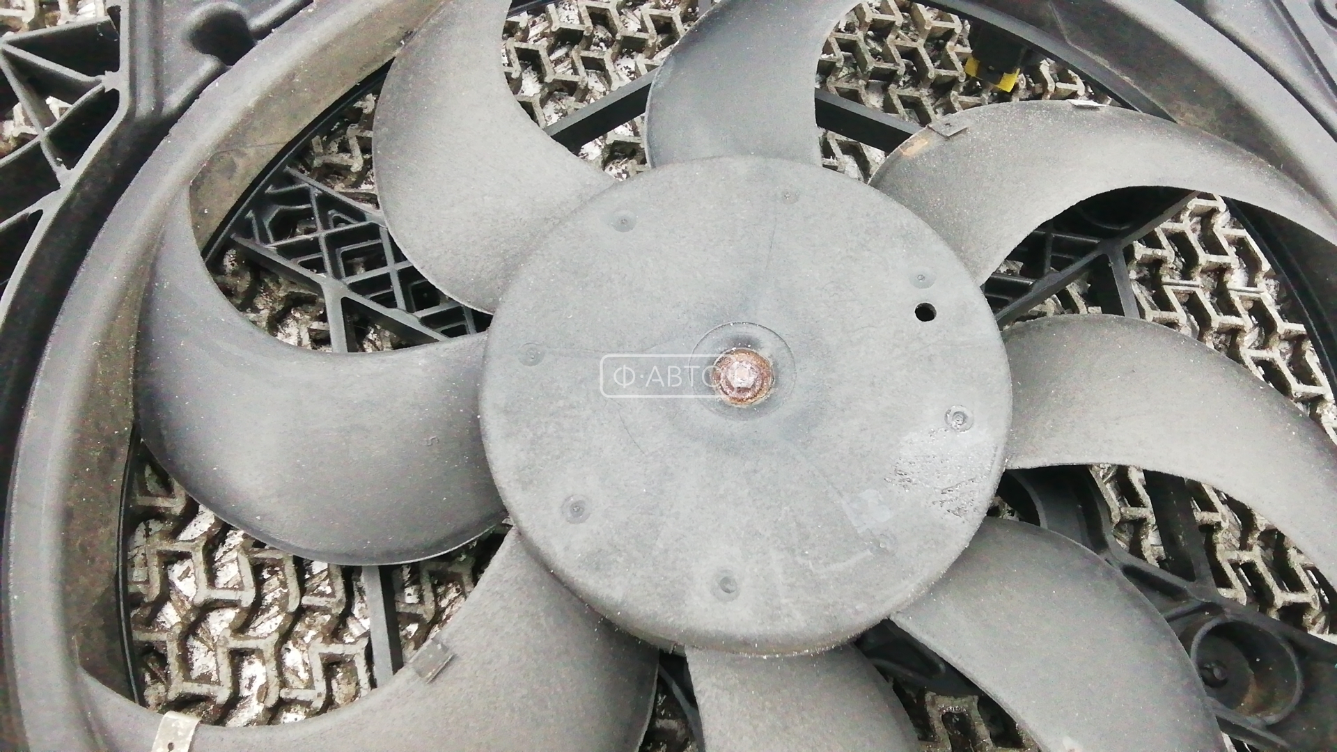 Вентилятор радиатора основного Fiat Bravo 1 (182) купить в России