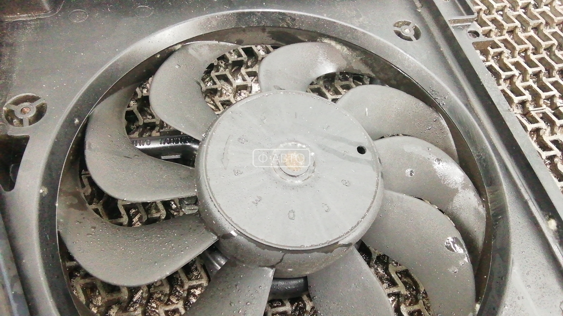Вентилятор радиатора основного Volkswagen Bora купить в России