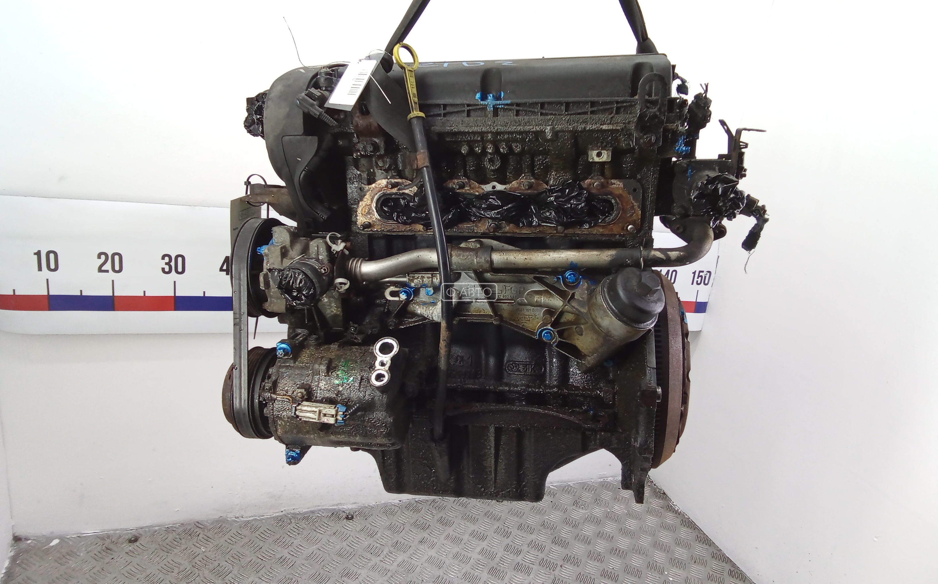 Двигатель (ДВС) Fiat Croma 2 (194) купить в Беларуси