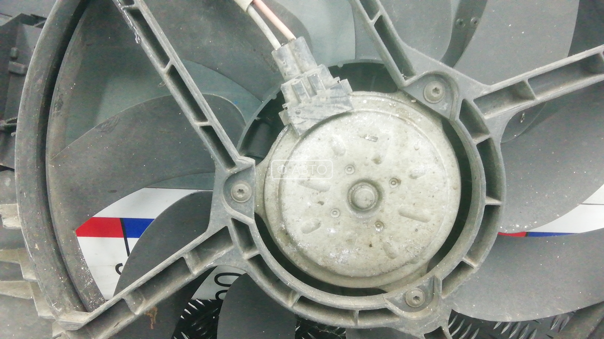 Вентилятор радиатора основного Fiat Croma 2 (194) купить в Беларуси