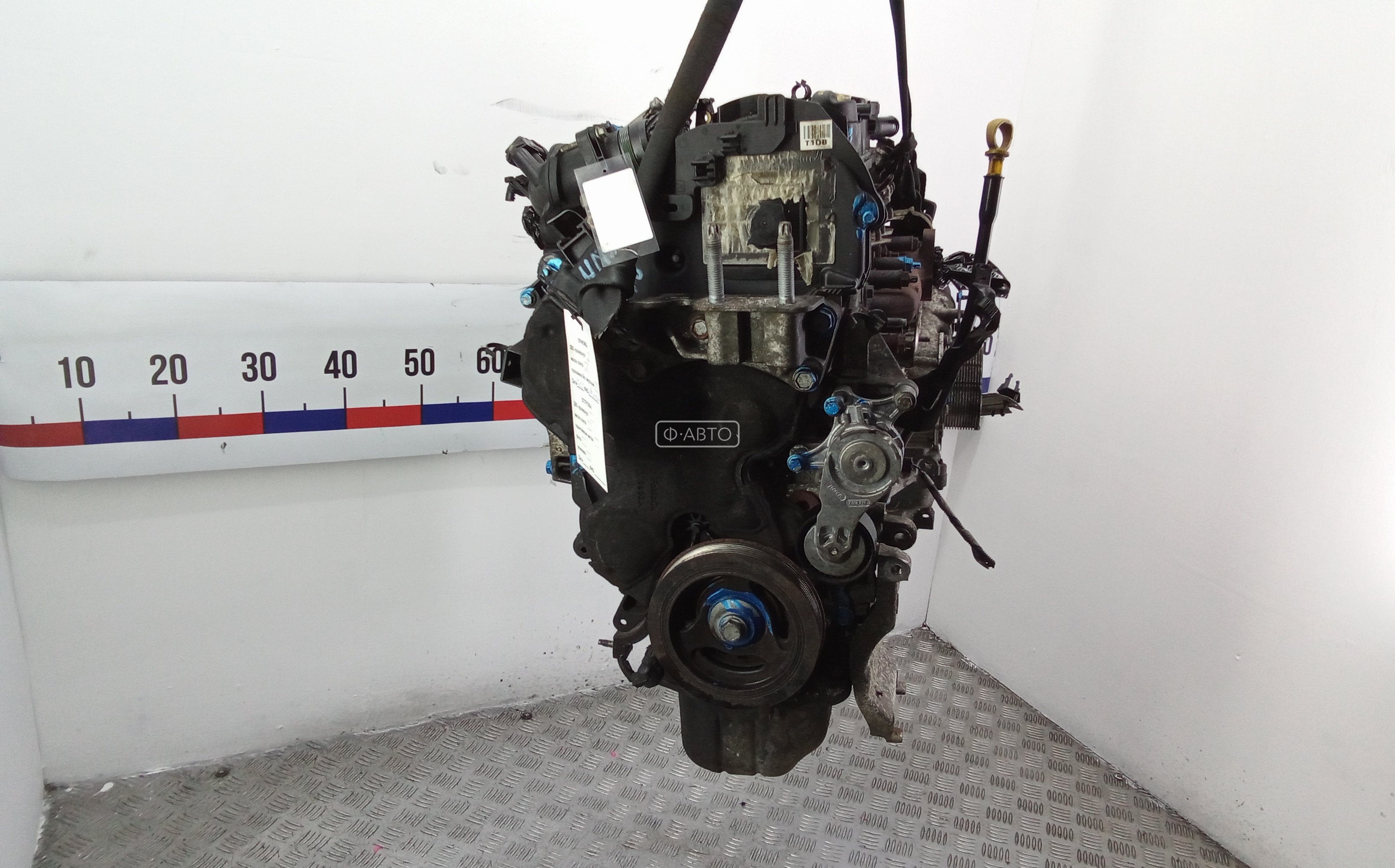 Двигатель (ДВС) - Ford Focus 3 (2011-2018)