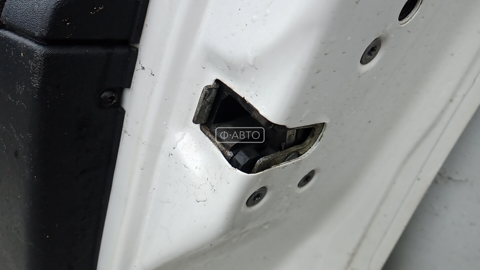 Дверь передняя правая Citroen C3 1 купить в Беларуси