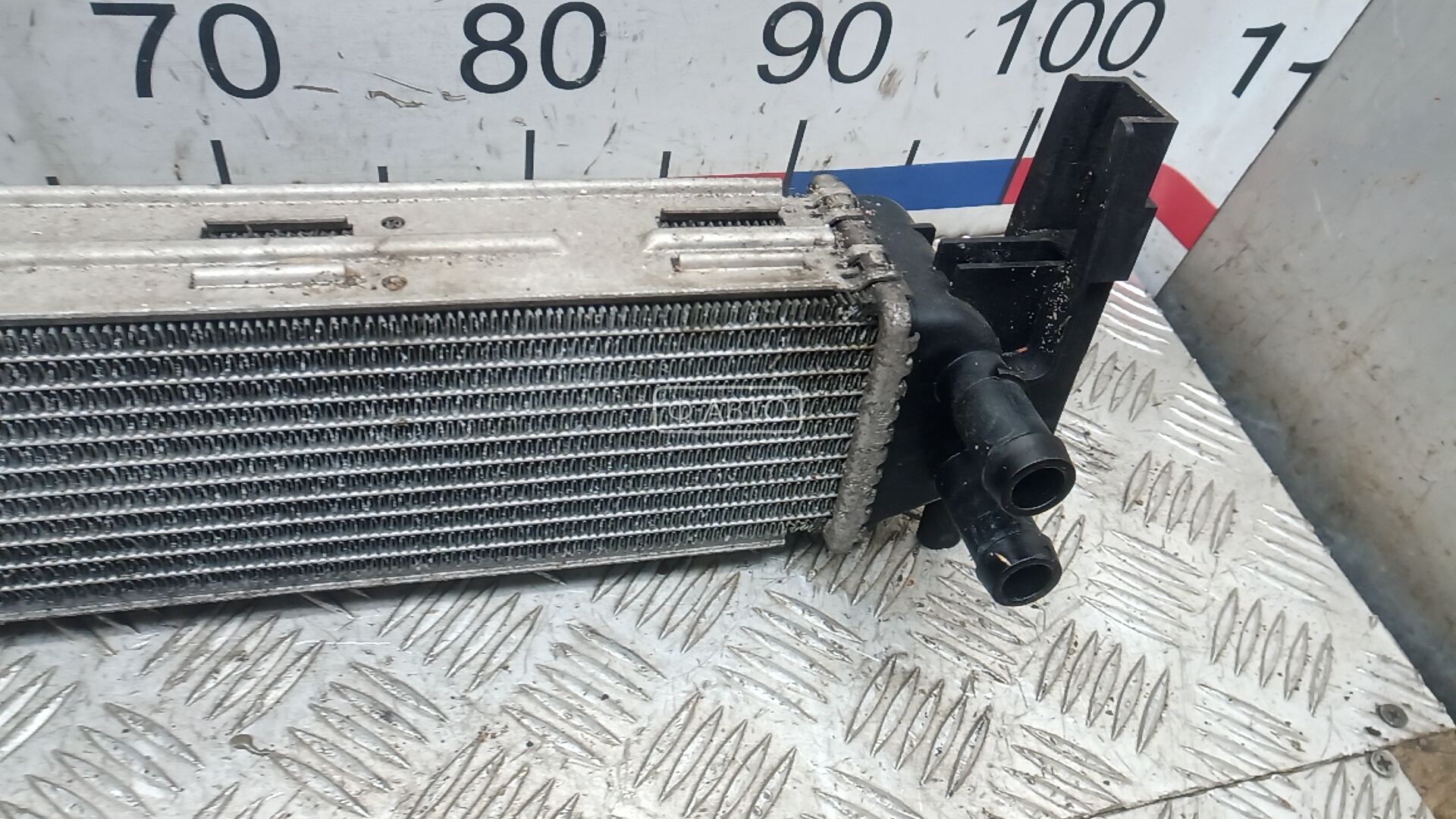 Радиатор масляный Skoda Fabia 1 купить в Беларуси